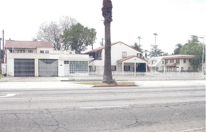 Residential buildings with palm trees along a street