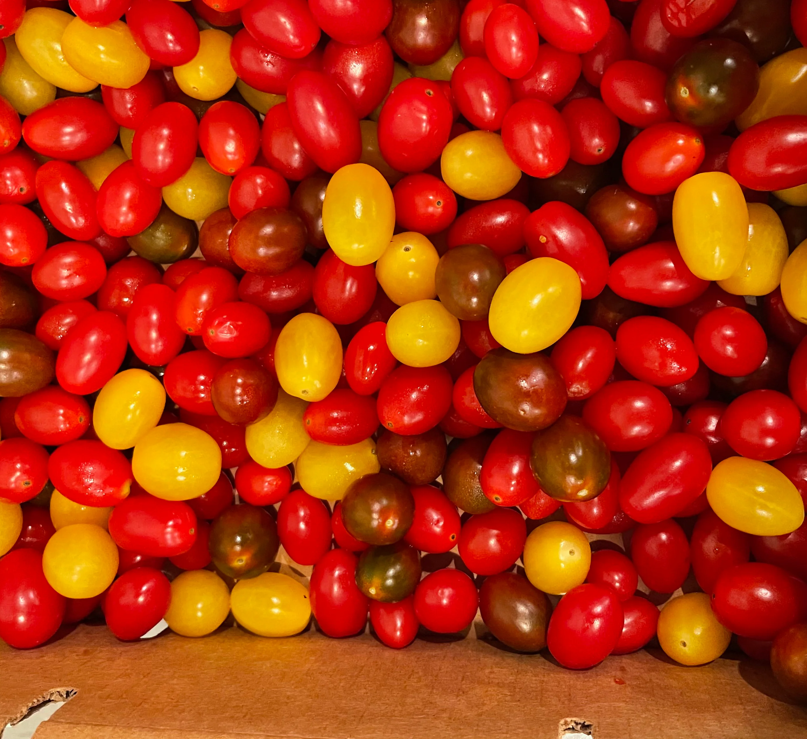Colorful assortment of cherry tomatoes in a cardboard box