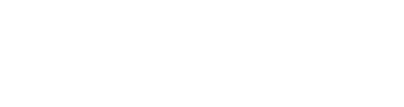 L'inizio