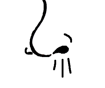 Artistic sketch of a cat's nose with whiskers