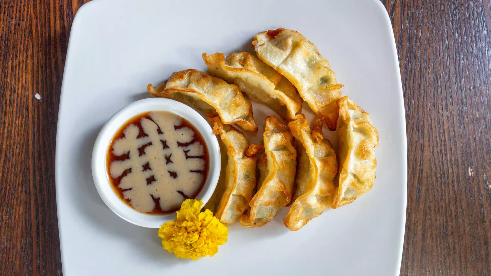 A4 Gyoza