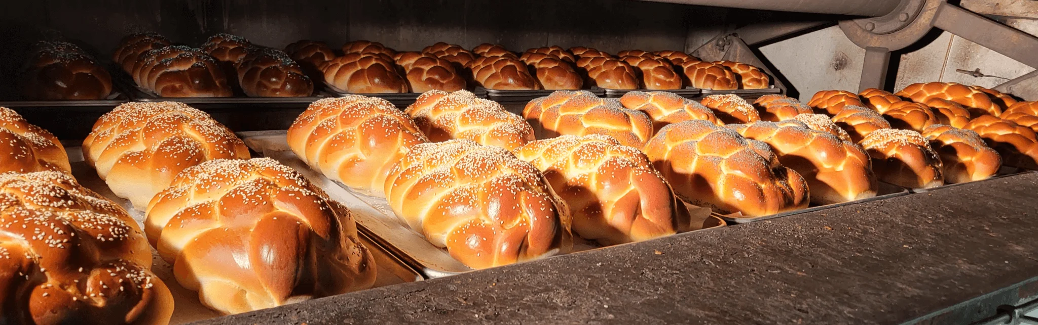 Freshly baked challah bread in a bakery