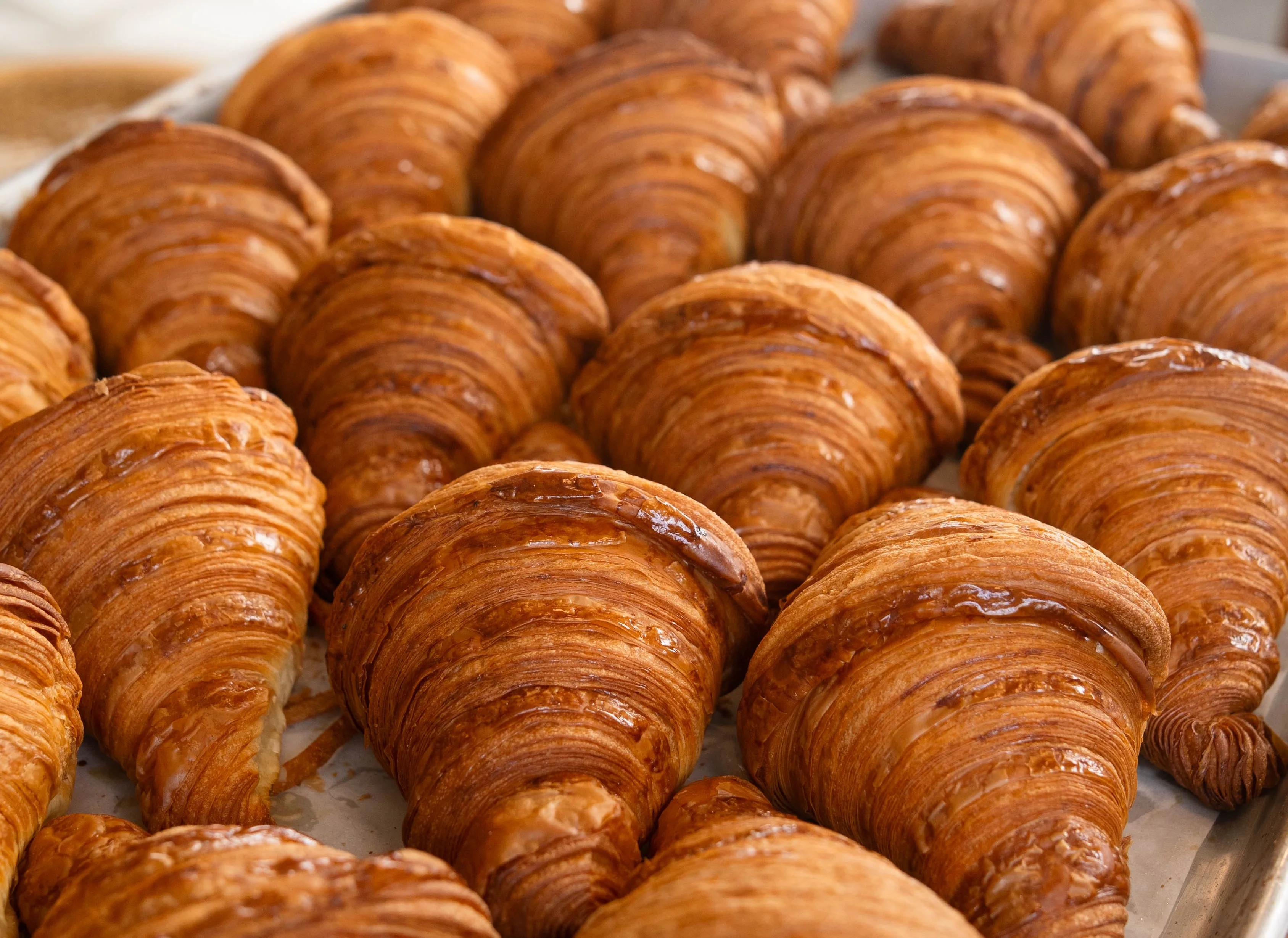 Le Petit Four | Authentic French Bakery & Pastries in Wellesley, MA