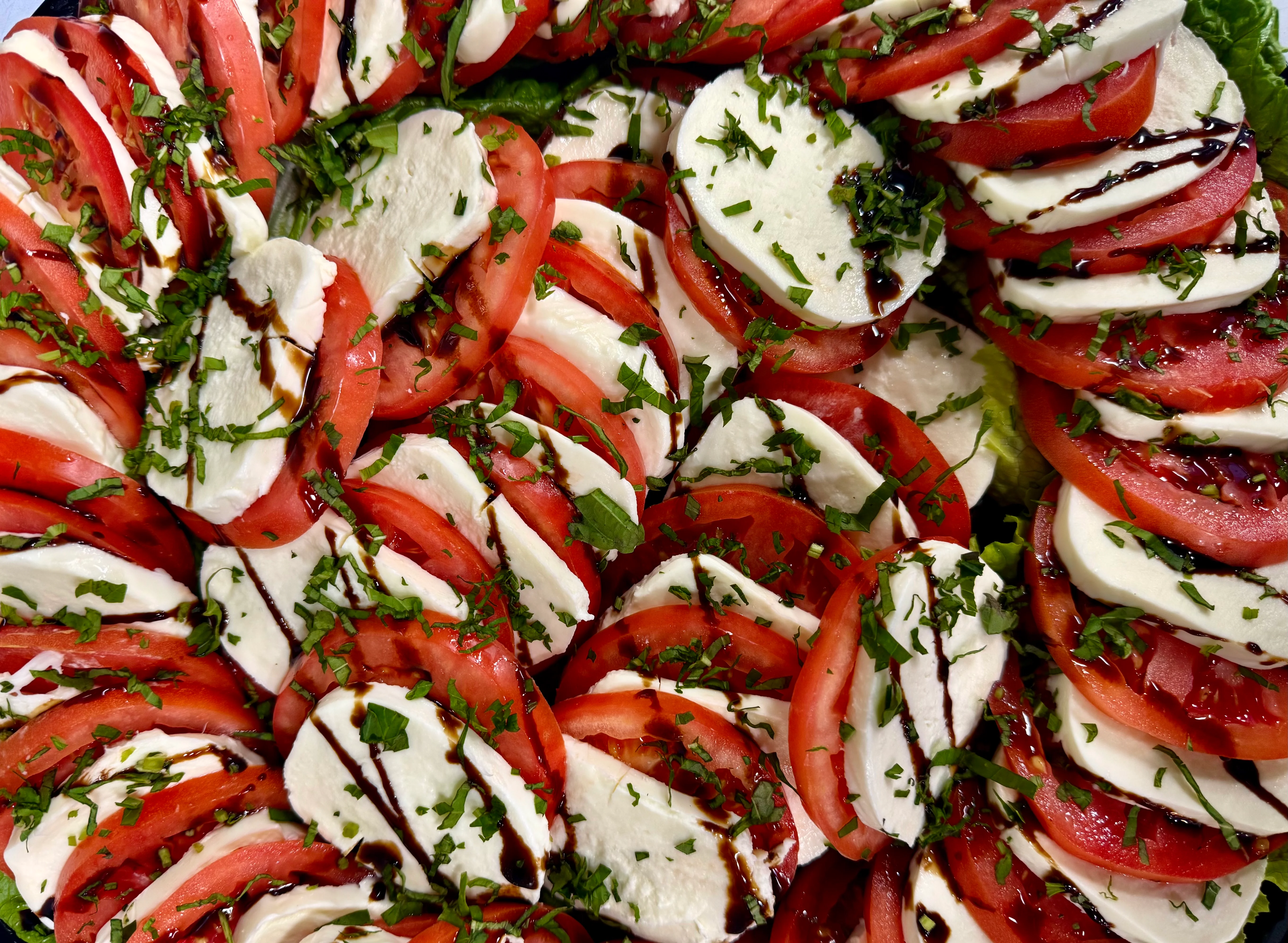 Caprese salad with fresh mozzarella and tomatoes