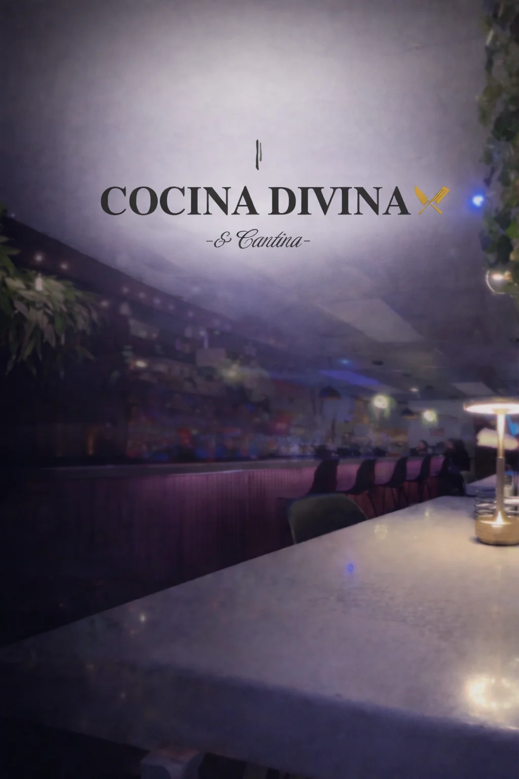 Another angle of the same restaurant, showcasing the cozy ambiance with bar seating and the 'Cocina Divina' logo.