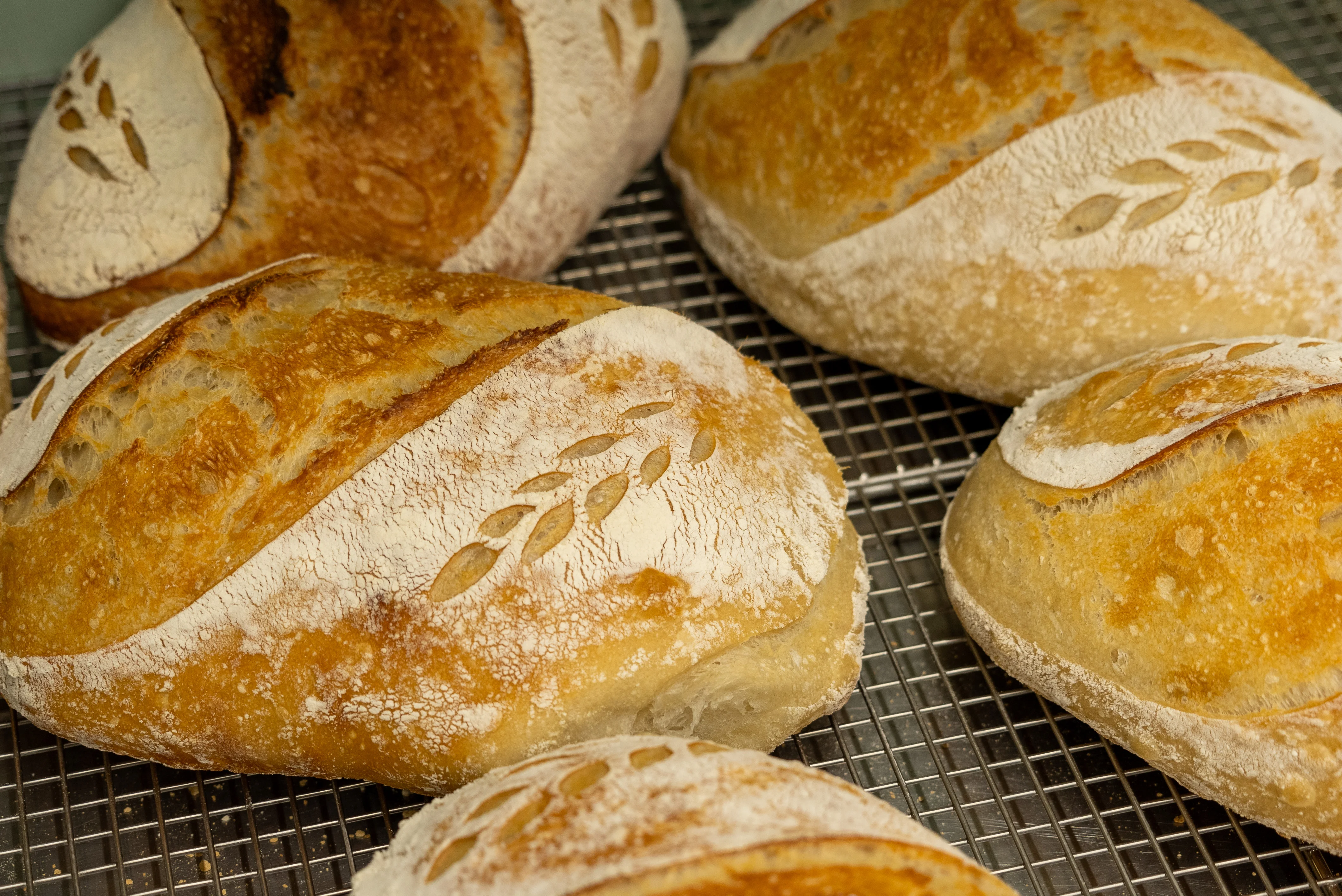 Sourdough Bread