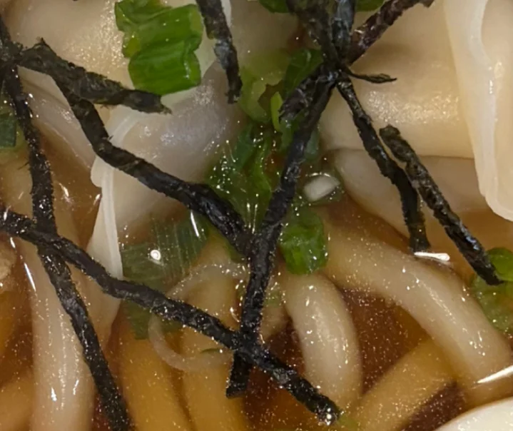 Mandoo Udon