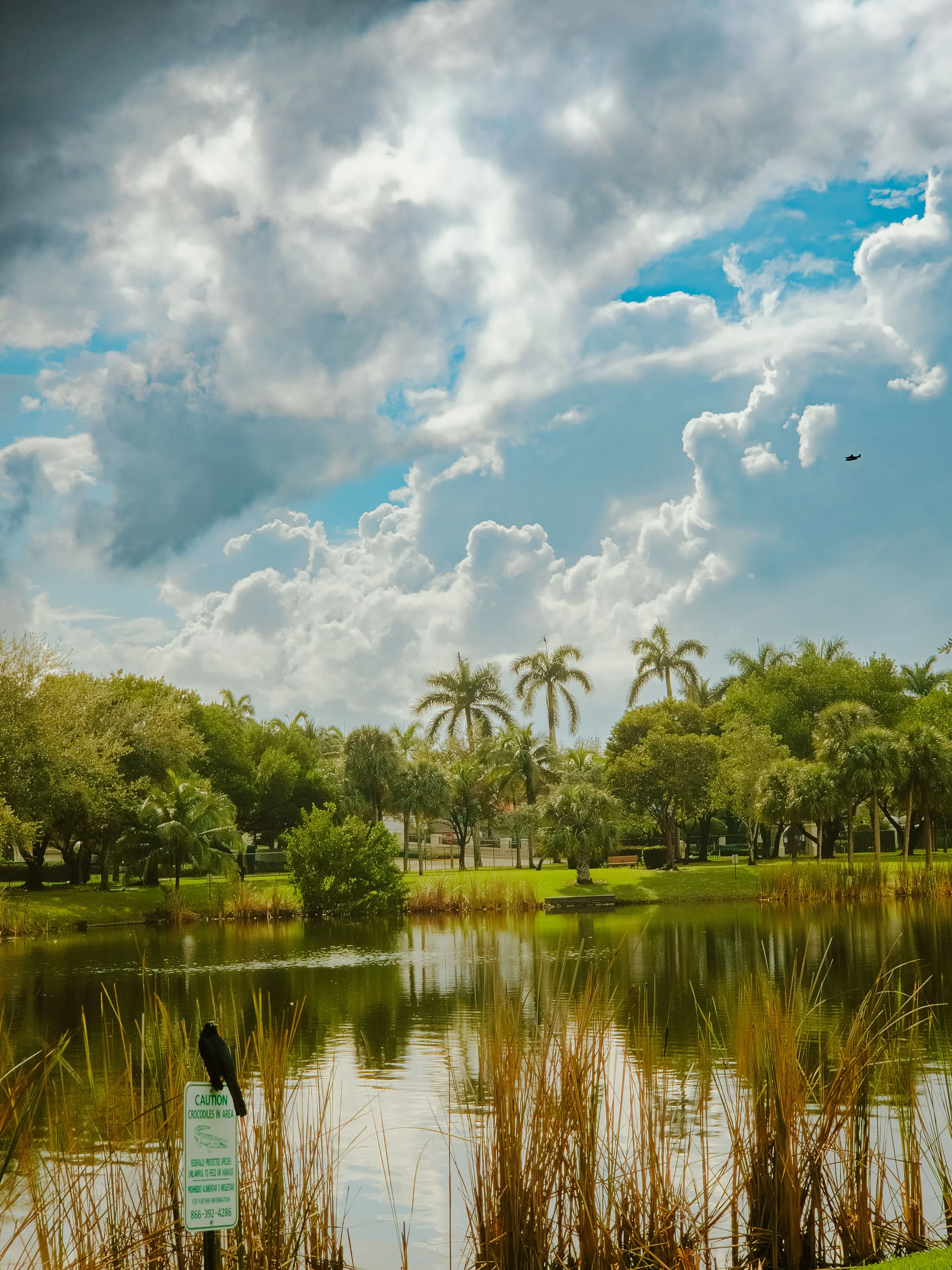A scenic outdoor landscape in Pembroke Pines, Florida.
