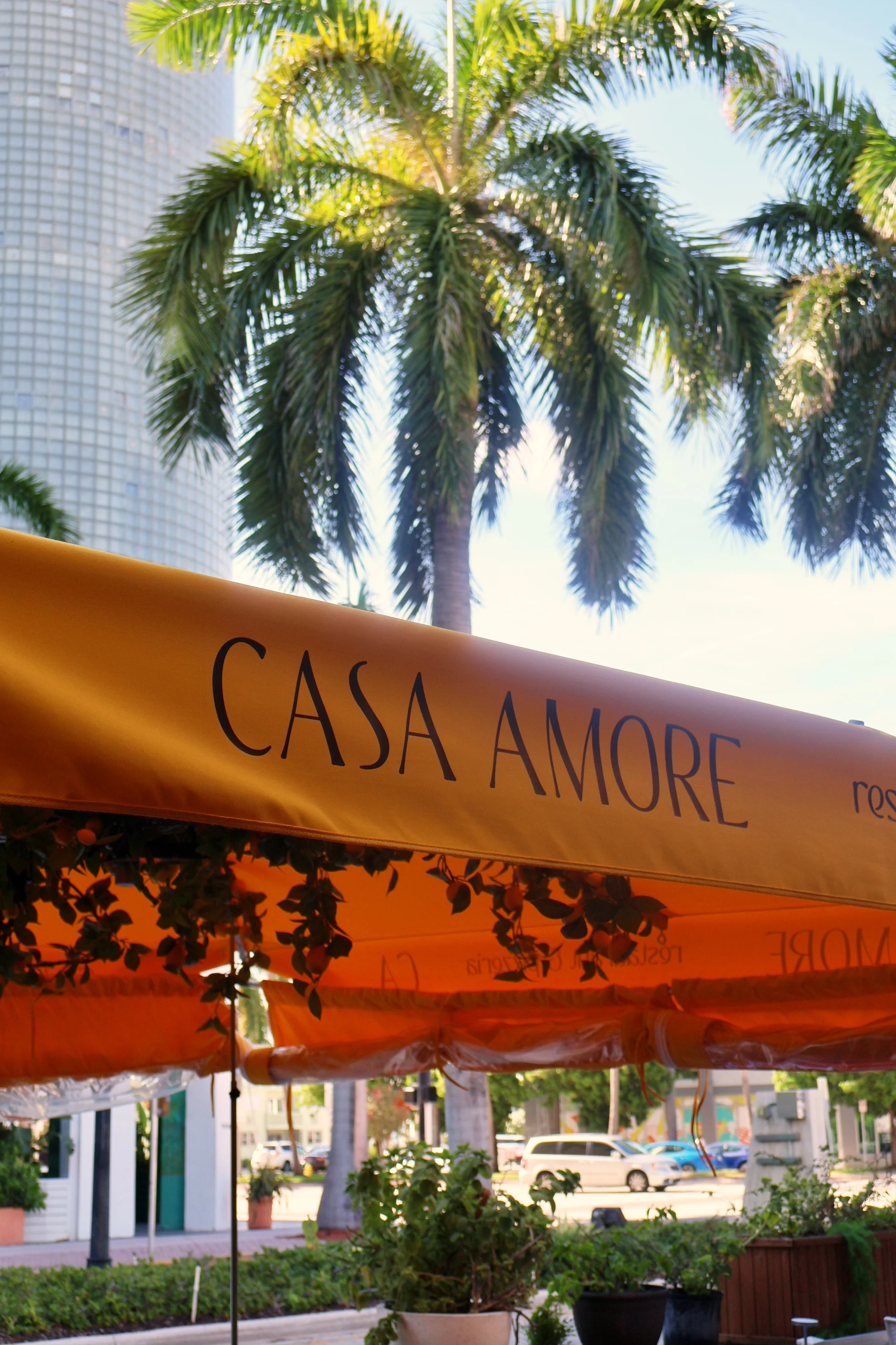 Outdoor dining area of Casa Amore restaurant under palm trees