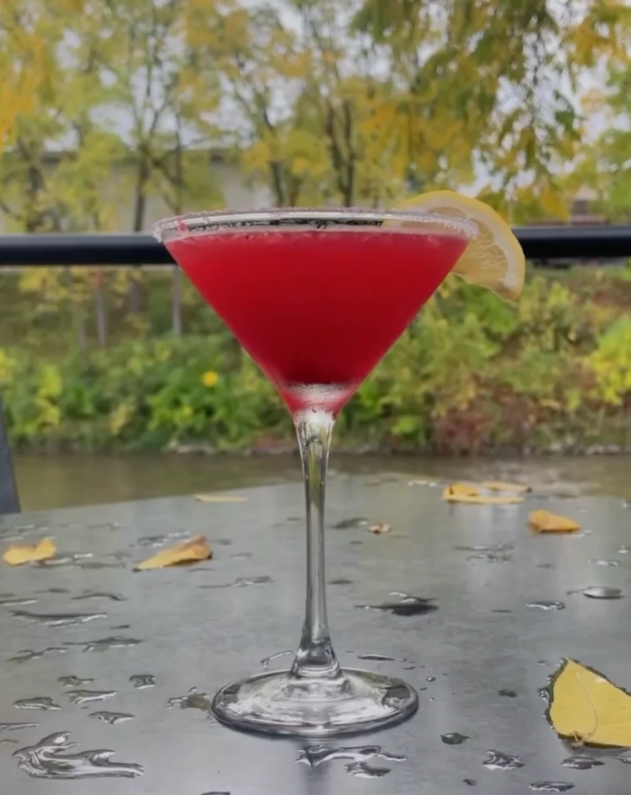 Vampire's Kiss Martini on a table with fall leaves behind it