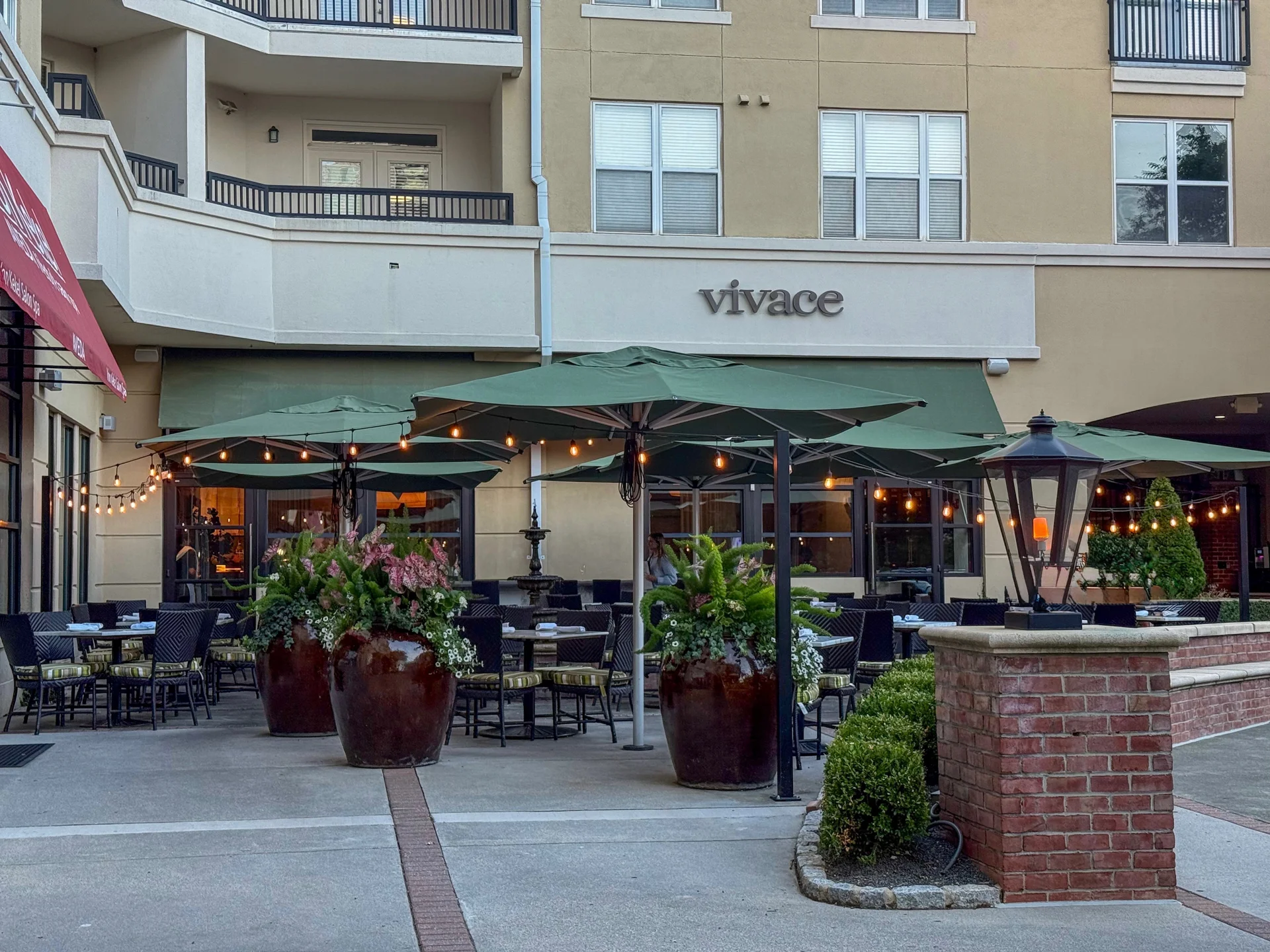Vivace photo
