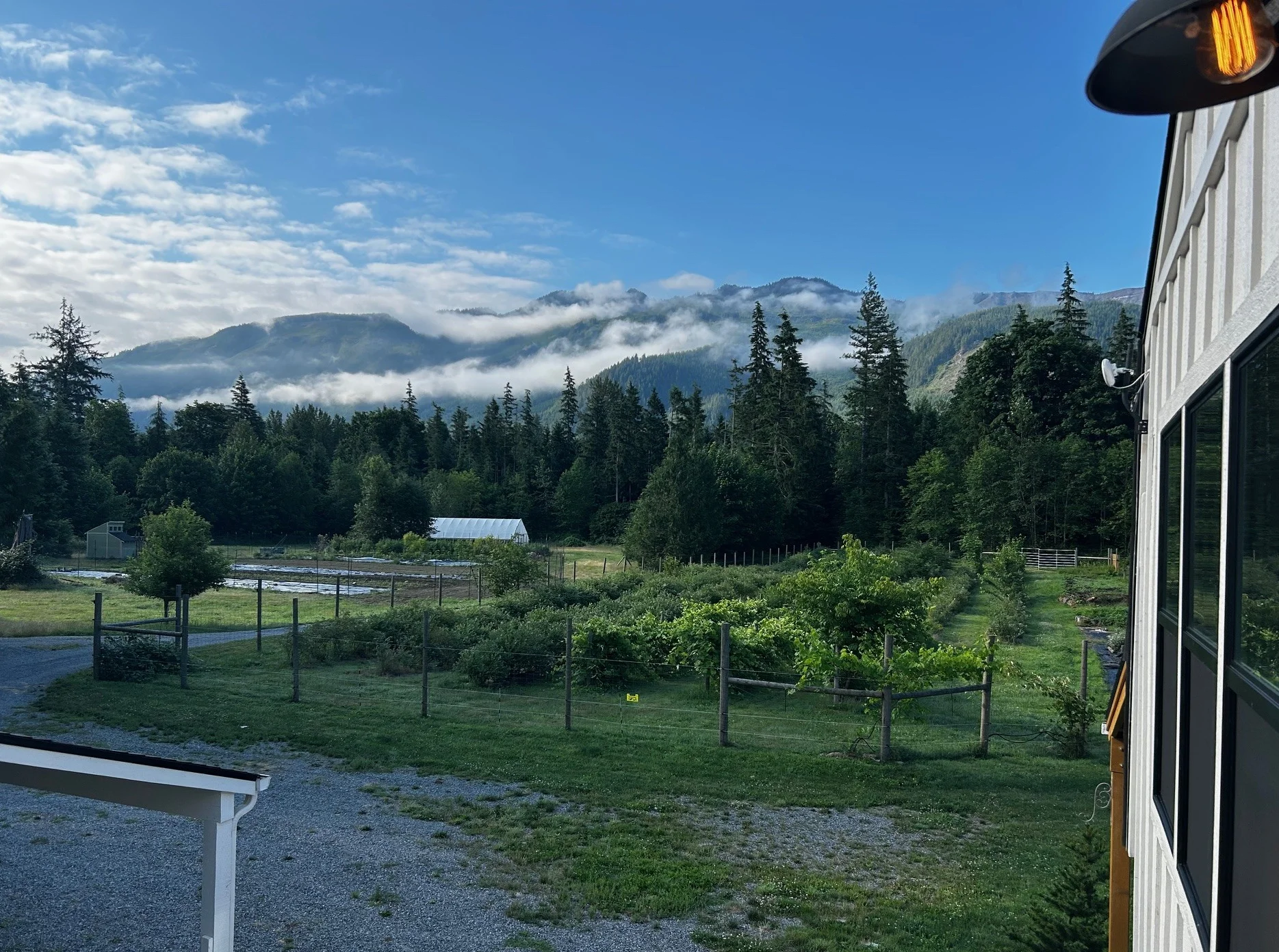 A local farm where we source organically grown produce