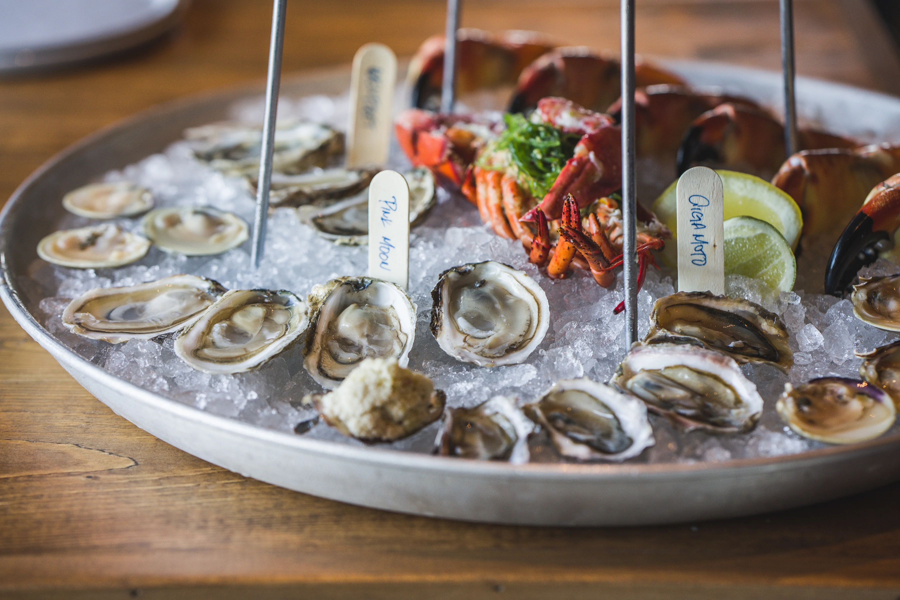 Freshly shucked oysters on ice