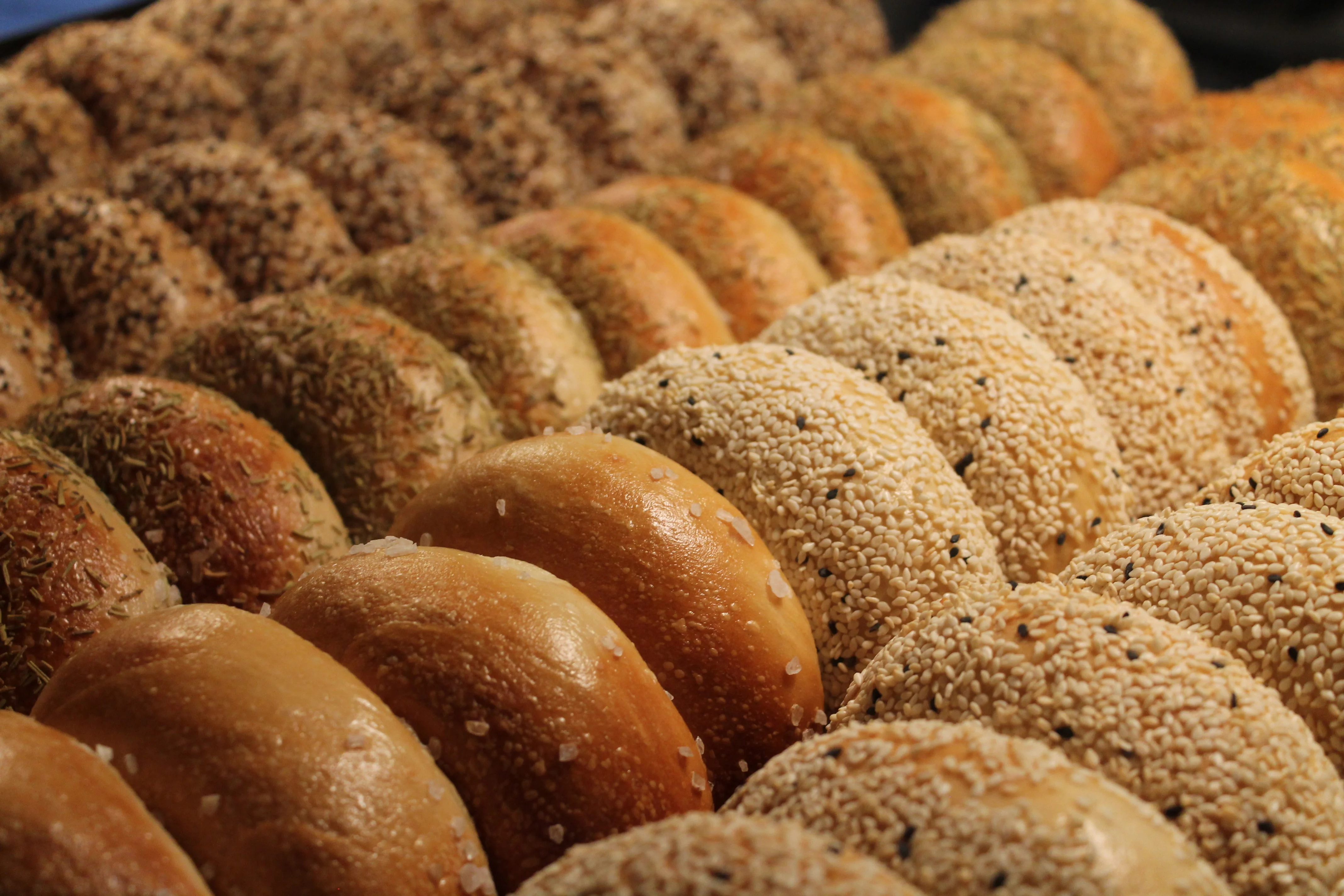 Assorted bagels topped with various seeds and herbs
