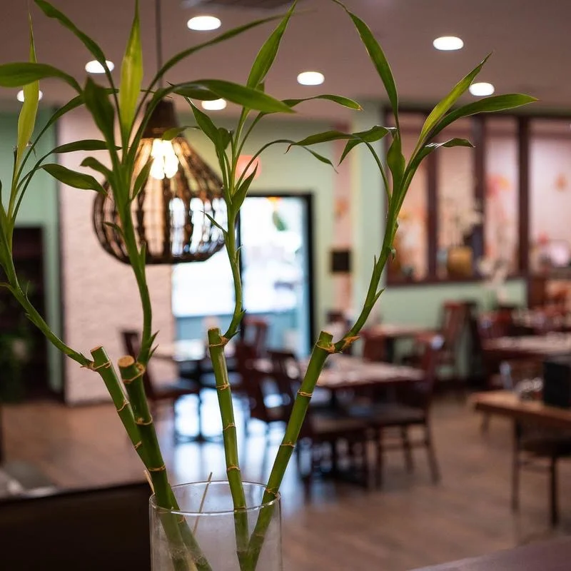 Cozy restaurant interior with bamboo decor and warm lighting