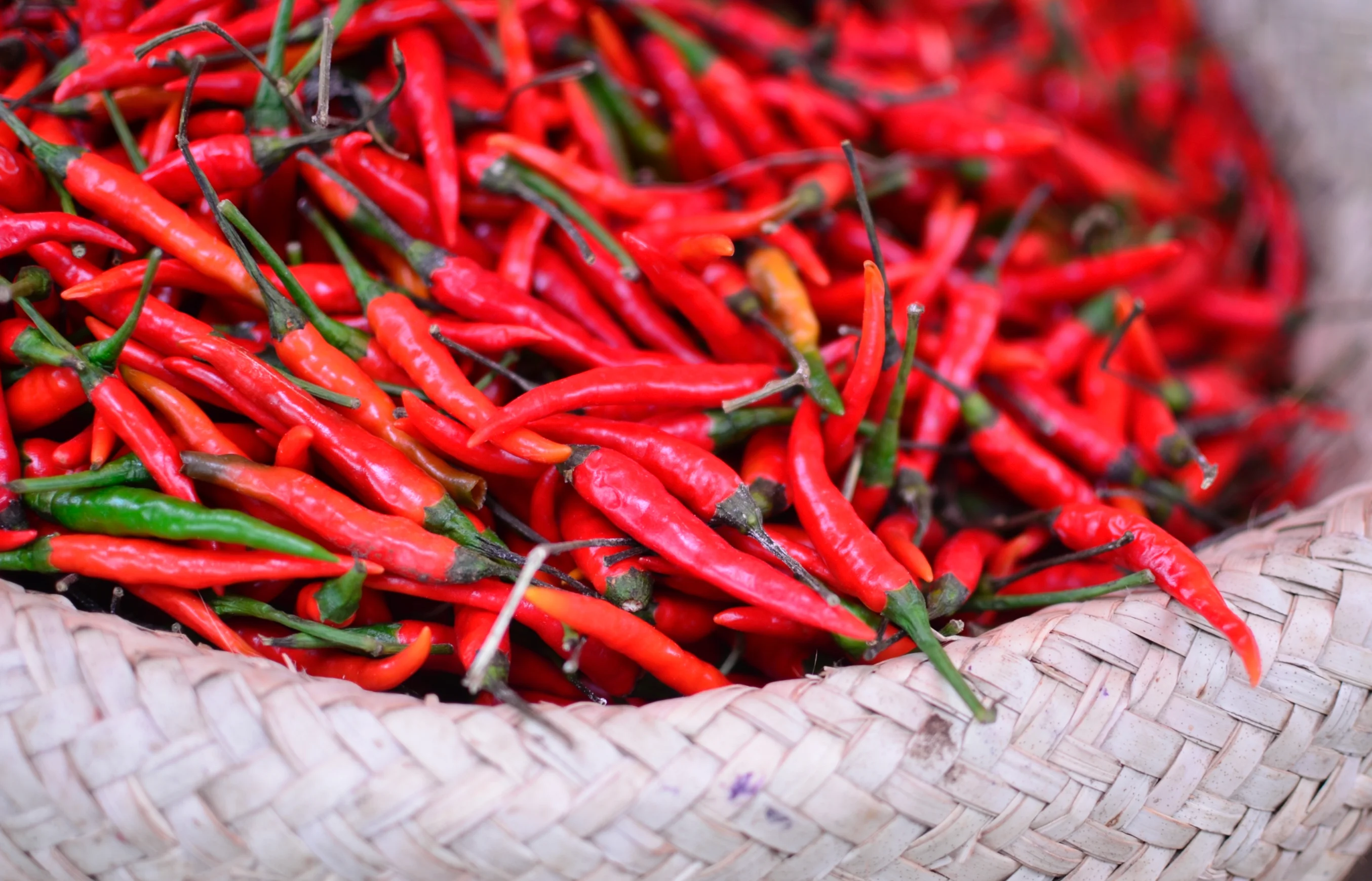 Cooking with hot peppers at Tolex African Grill