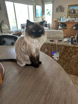 Photo from Sara Y.'s review