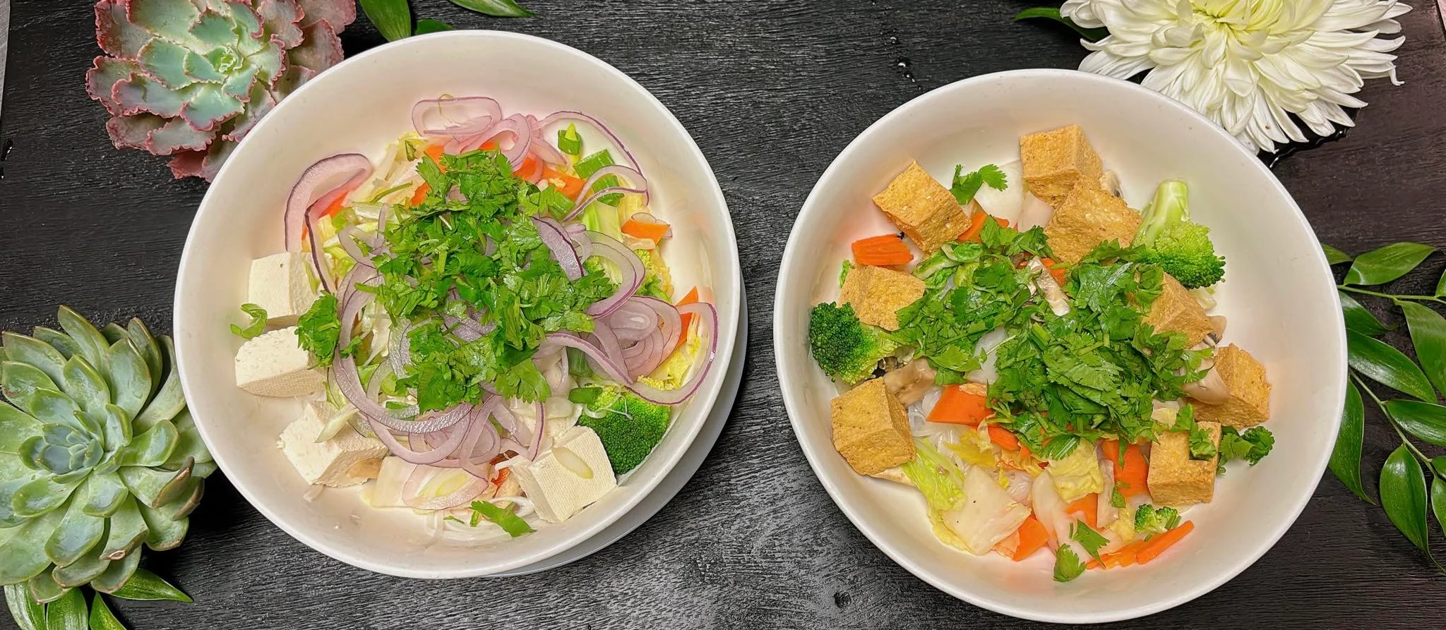 Vegan options for pho. Tofu and fried tofu pho.