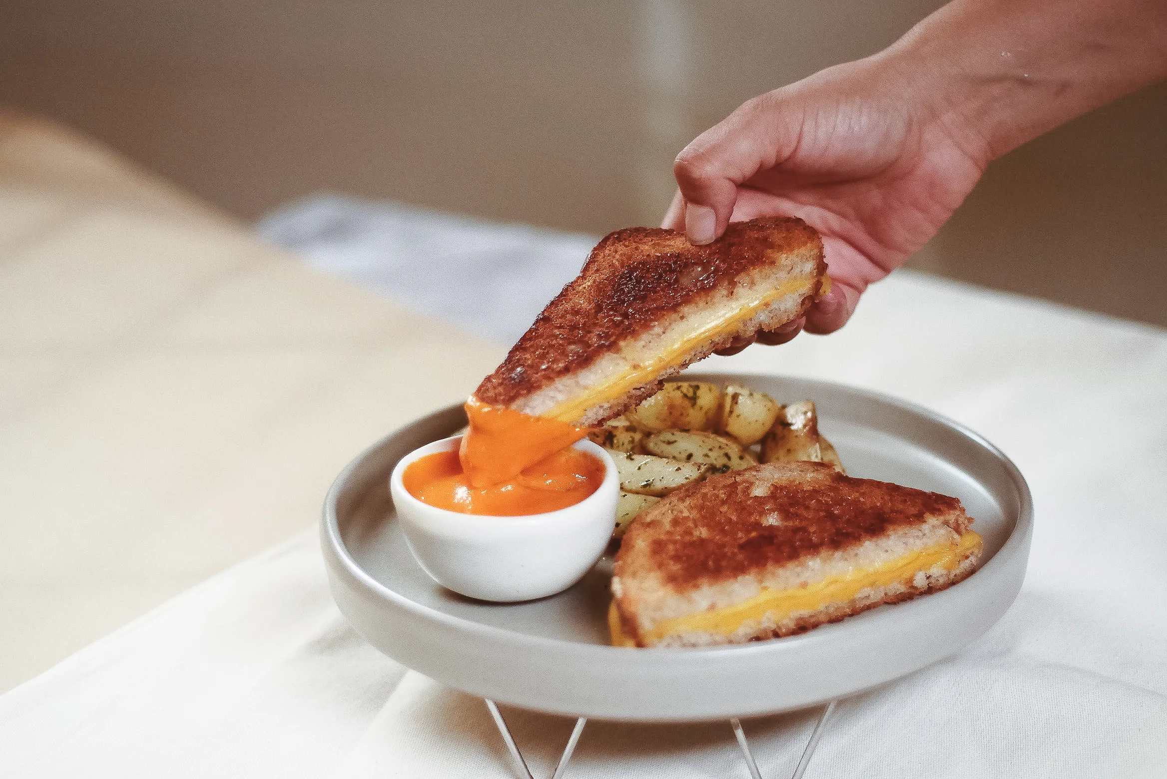 Grilled cheese sandwich with dipping sauce and seasoned potatoes