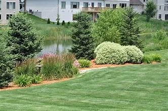 Lush green lawn with landscaped garden by a serene pond