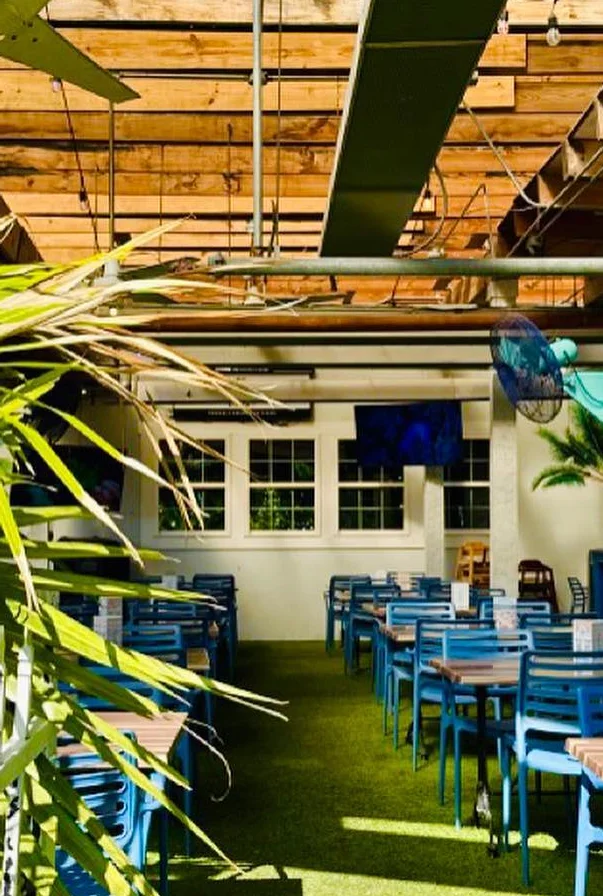 Bright restaurant interior with blue chairs and greenery