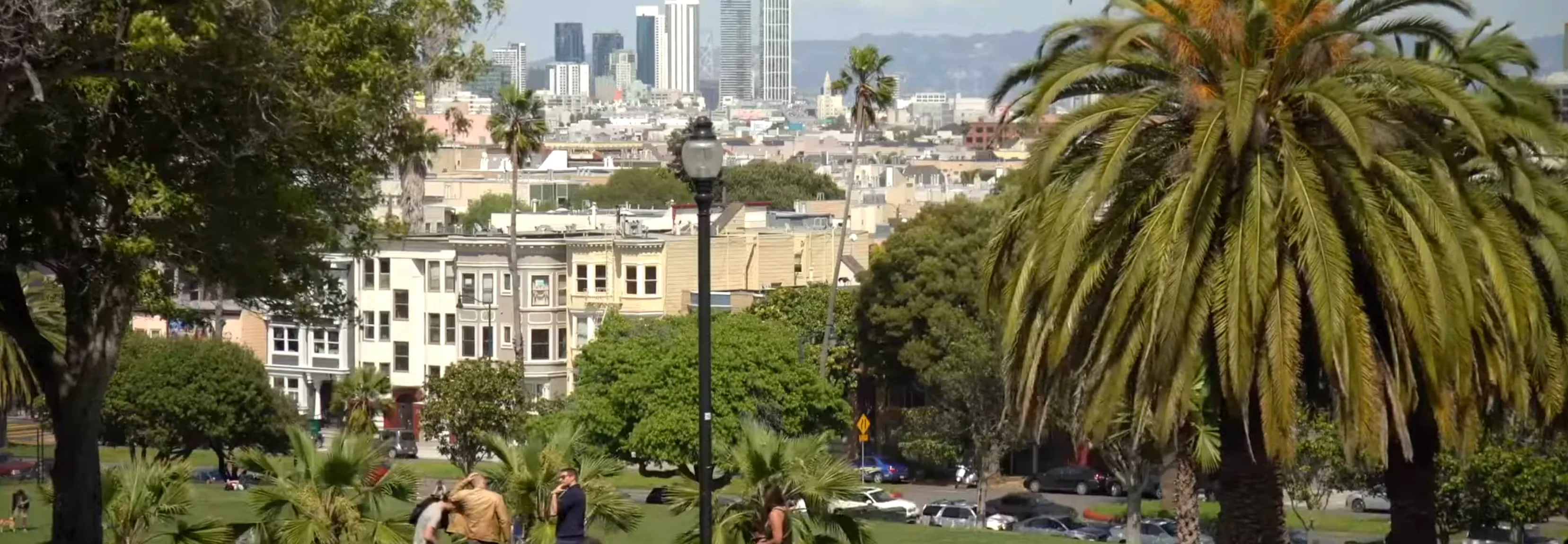 Cityscape view with palm trees and modern buildings