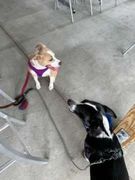 Photo from Dustin D.'s review