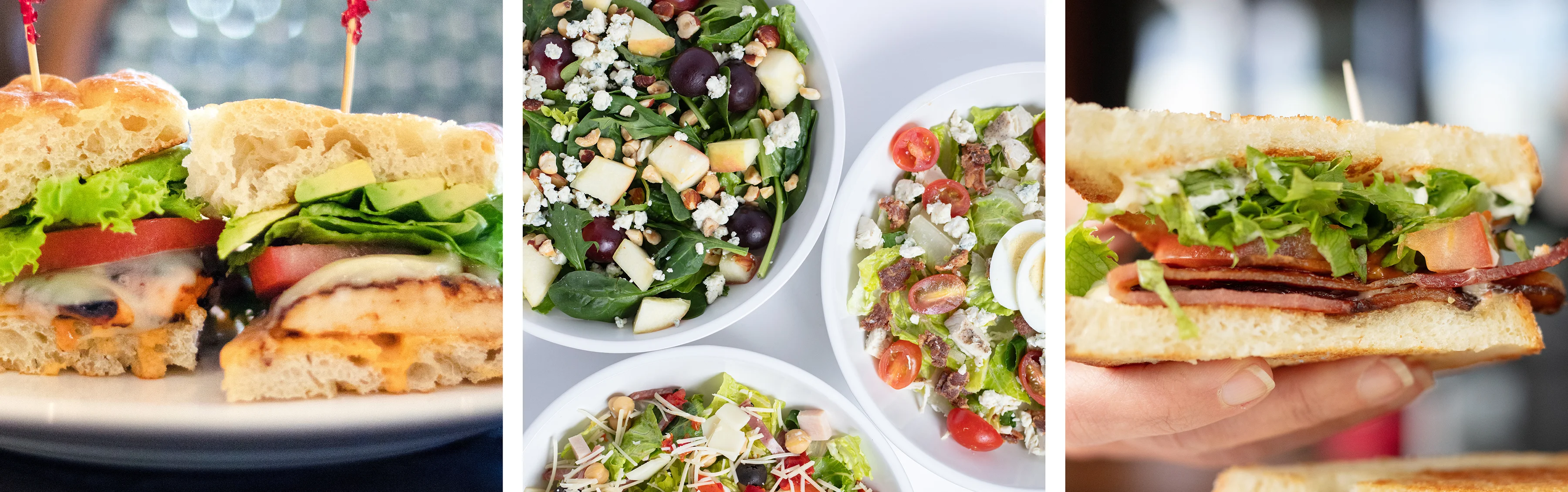 Fresh sandwiches and vibrant salads in a casual dining setting