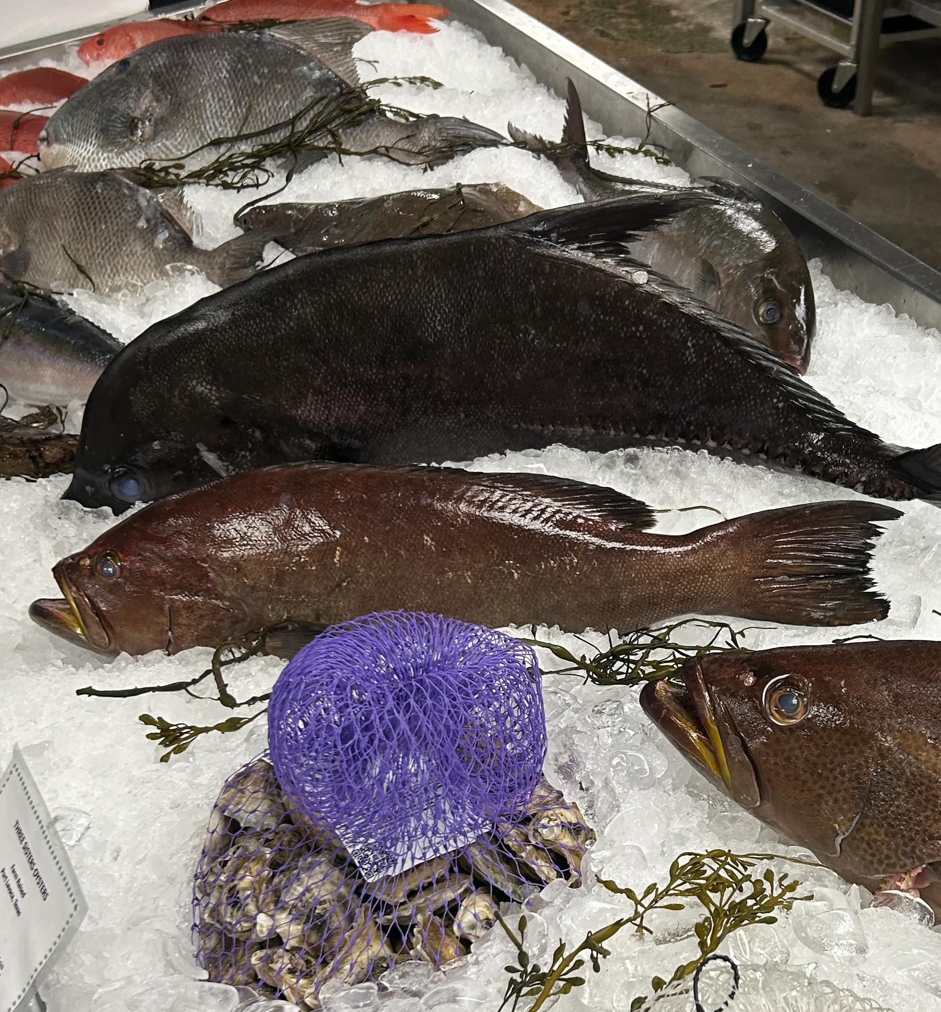 Fresh seafood display featuring various fish on ice