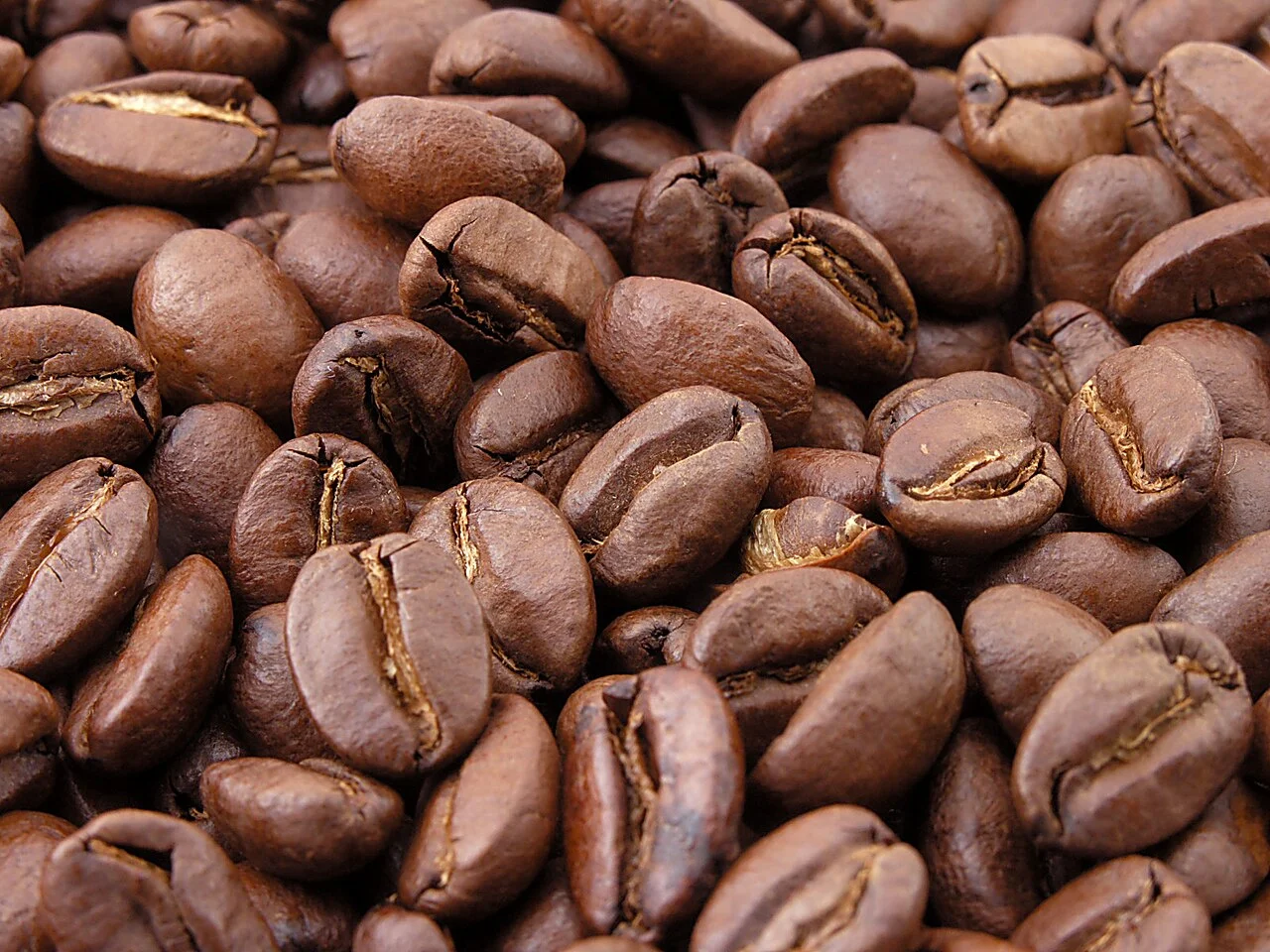 Close-up of roasted coffee beans for brewing