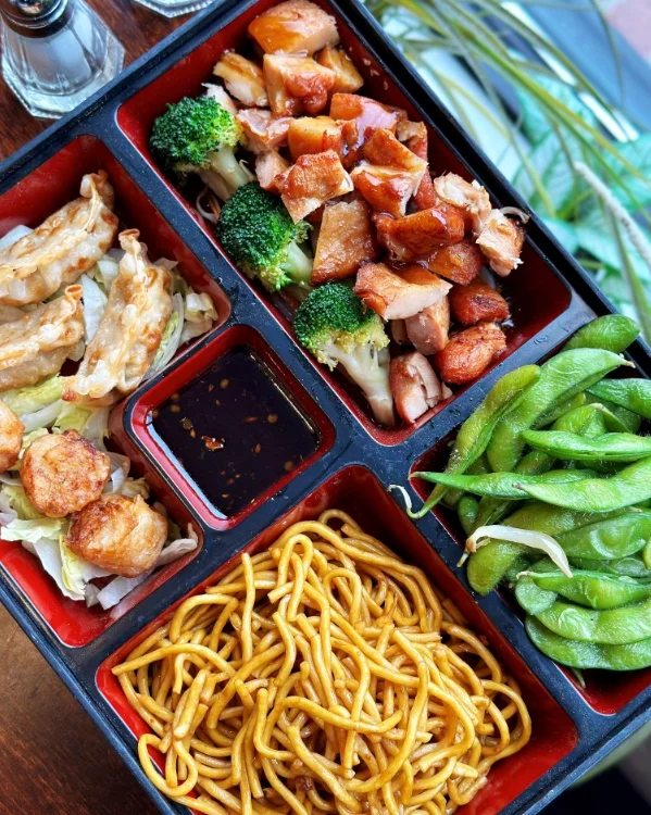 Japanese bento box with grilled chicken, dumplings, and noodles