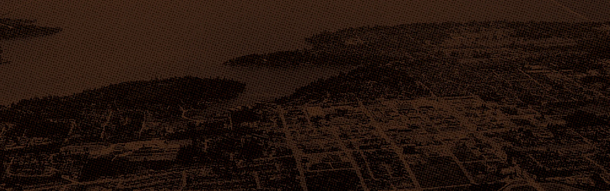 Banner image