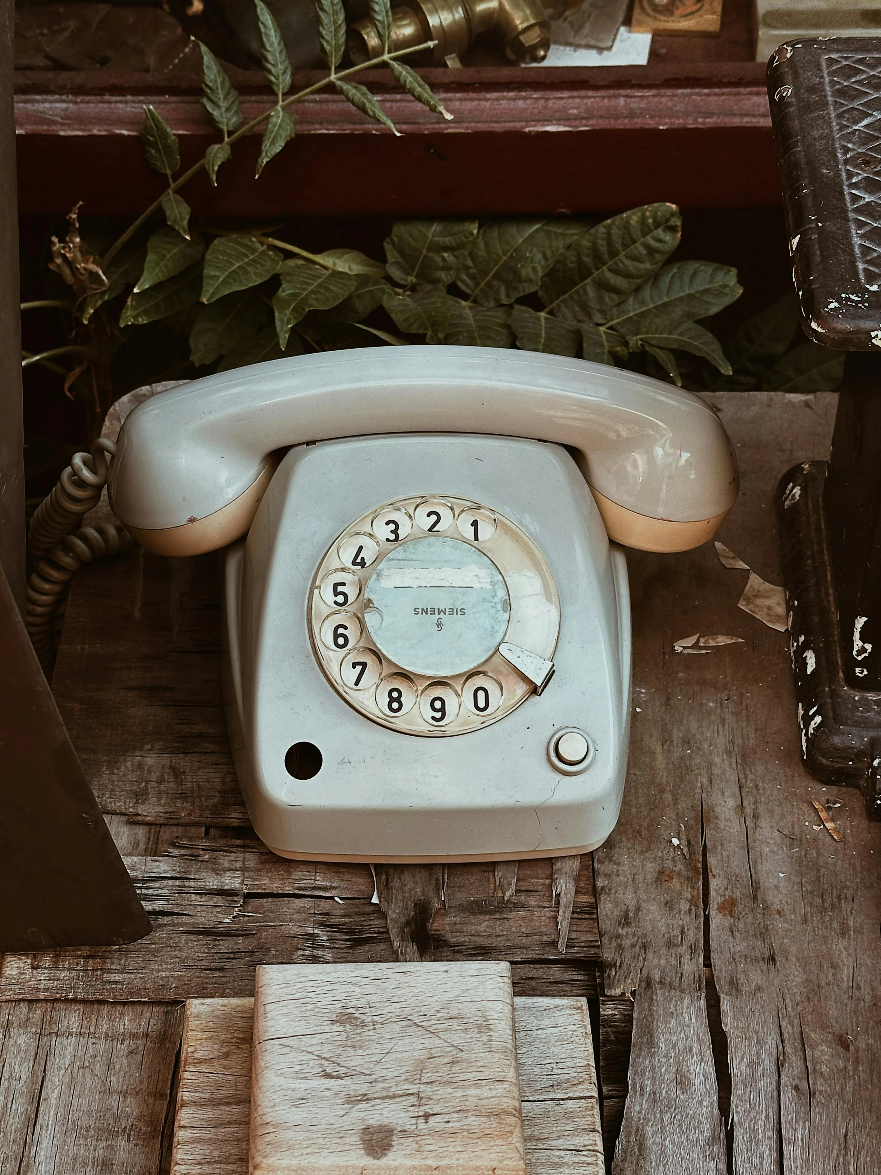 Vintage rotary phone on wooden surface with greenery