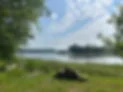Scenic lakeside view with trees and blue sky