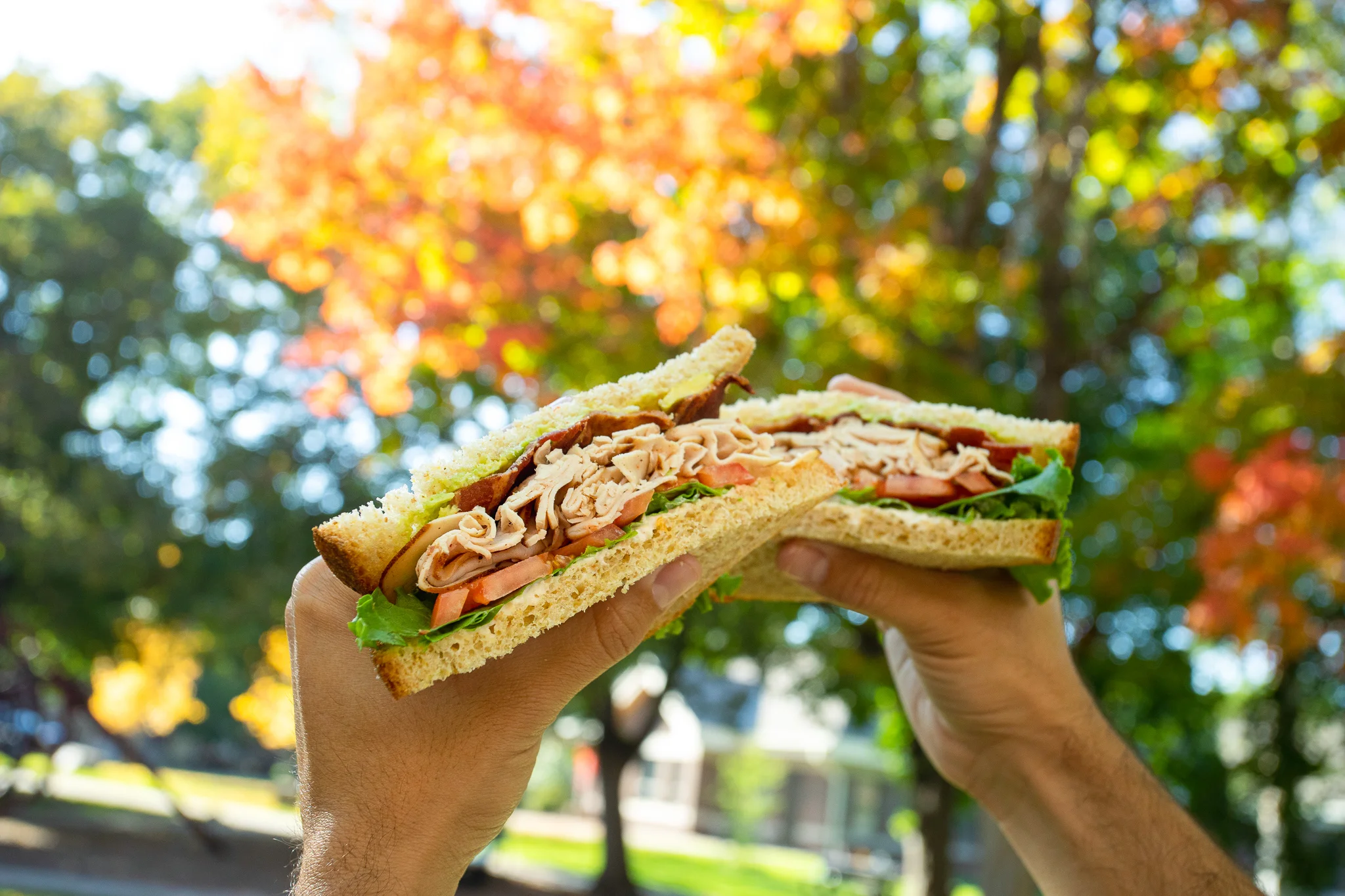 Classic turkey sandwich in autumn park setting