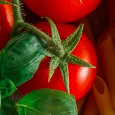 Italian pasta ingredients for a classic dish