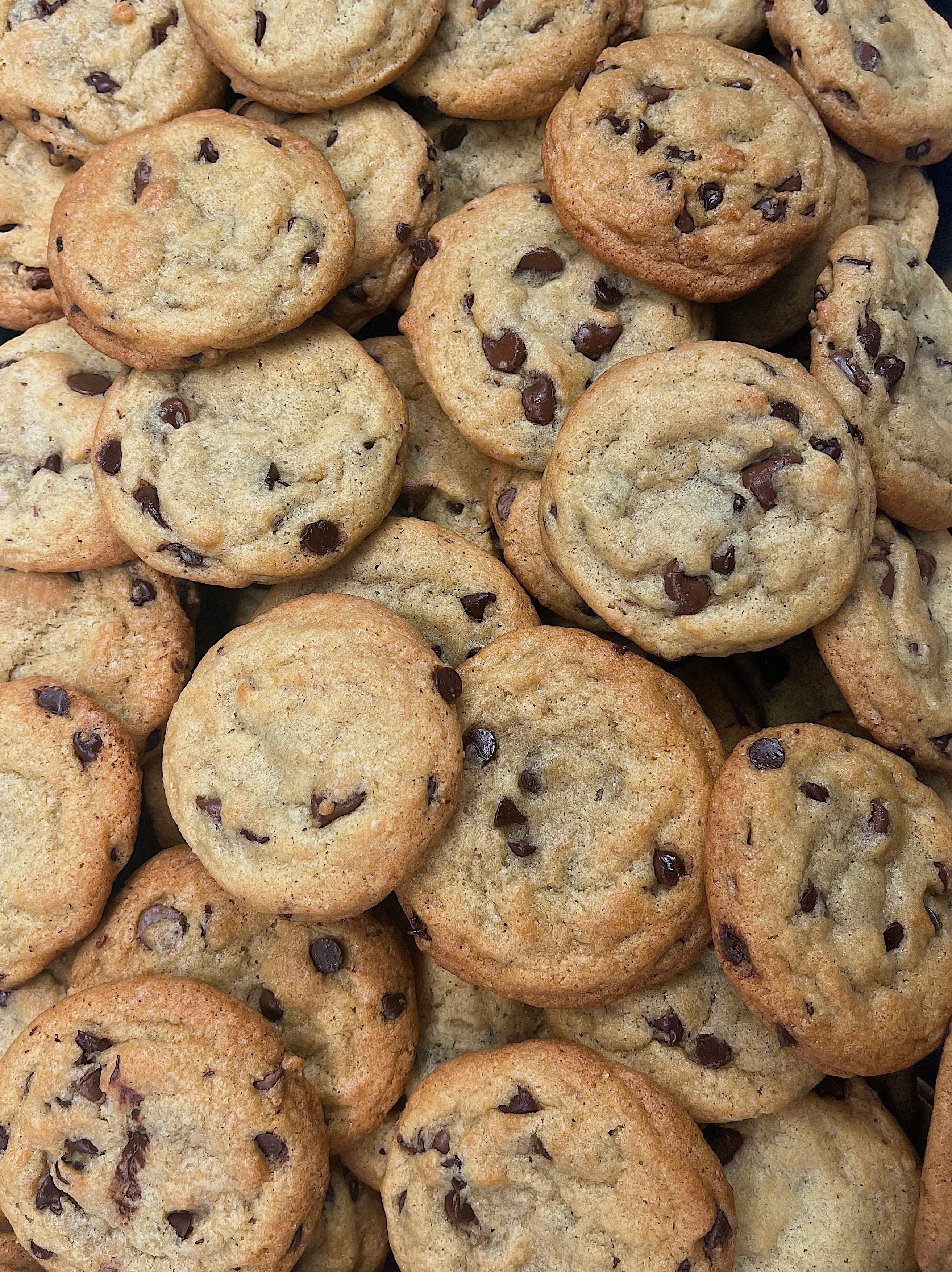 Freshly baked chocolate chip cookies