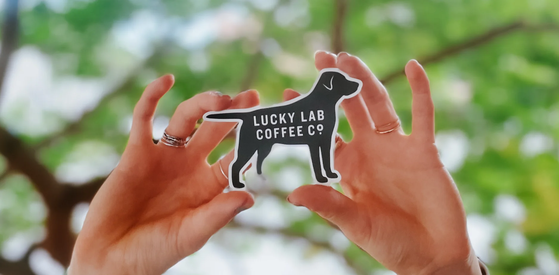 Lucky Lab Coffee Co. | Dog-Friendly Coffee & Pastries