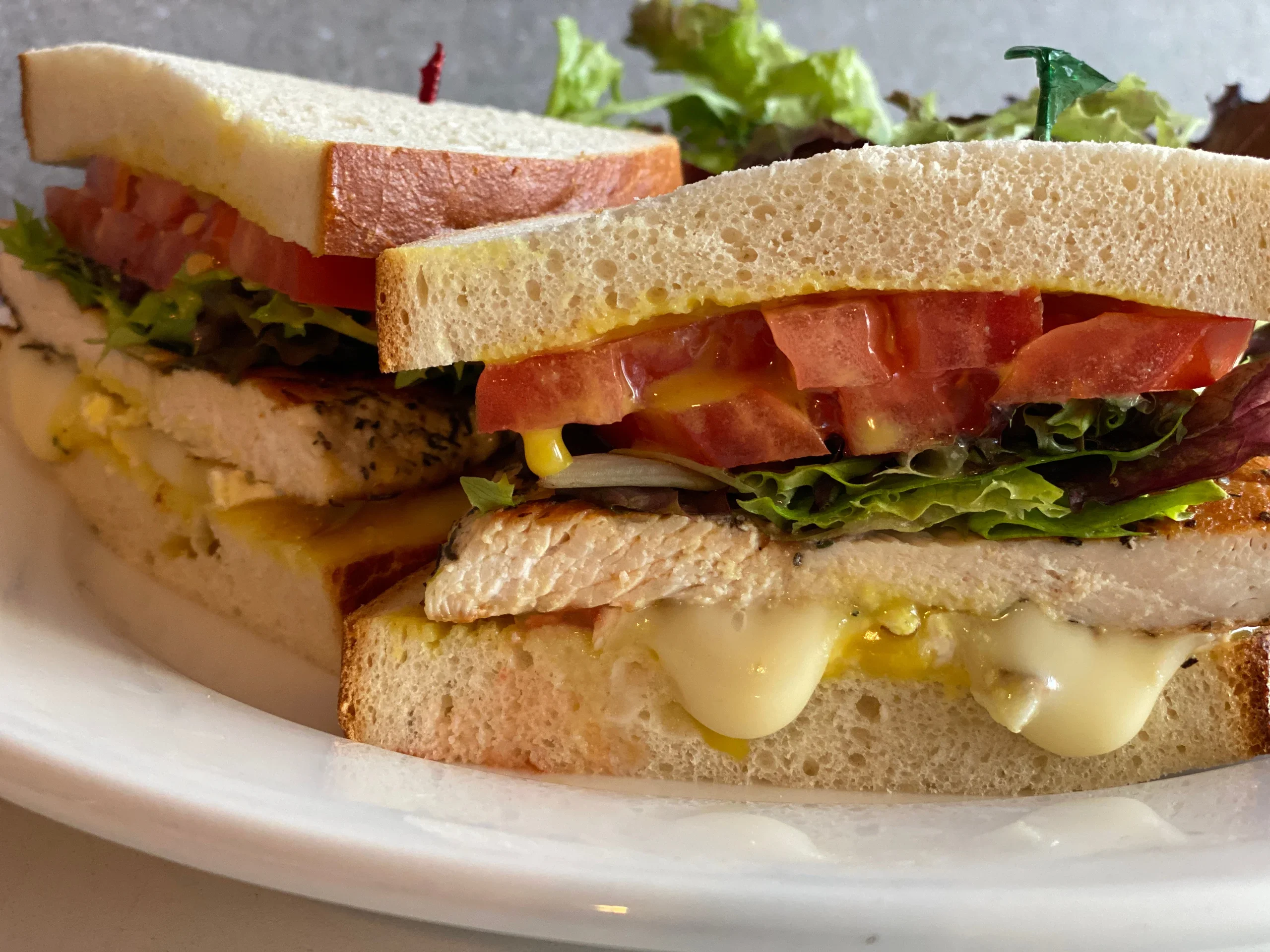 Delicious chicken and brie dish served on a plate