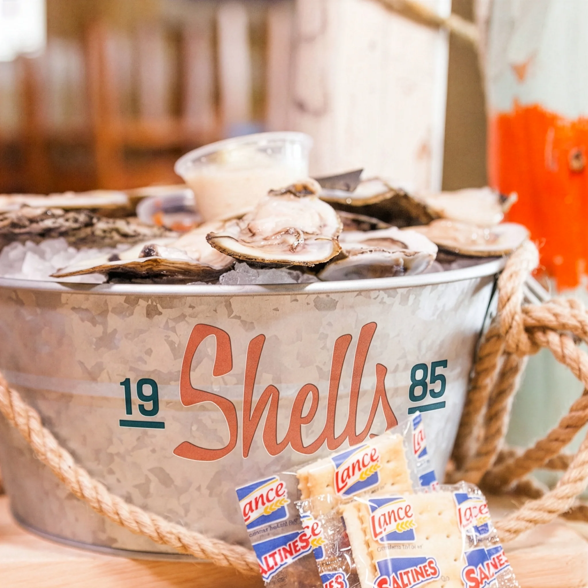 Shells Of Brandon Beginings