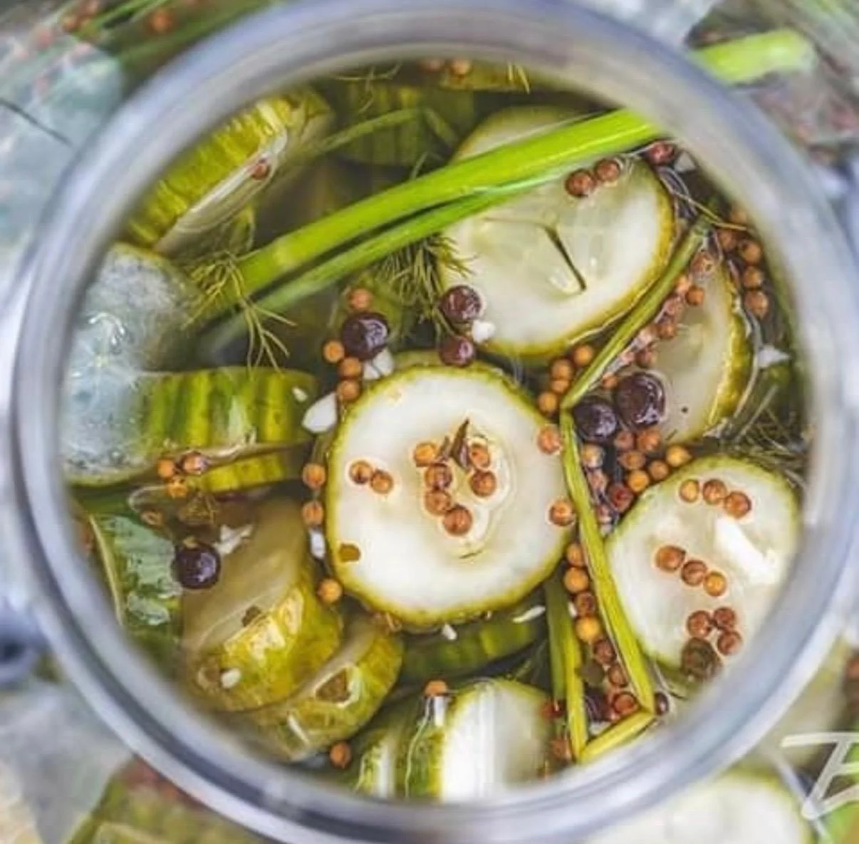 Homemade dill pickles in a glass jar