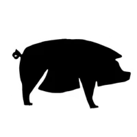 Silhouette of a pig representing pork cuisine