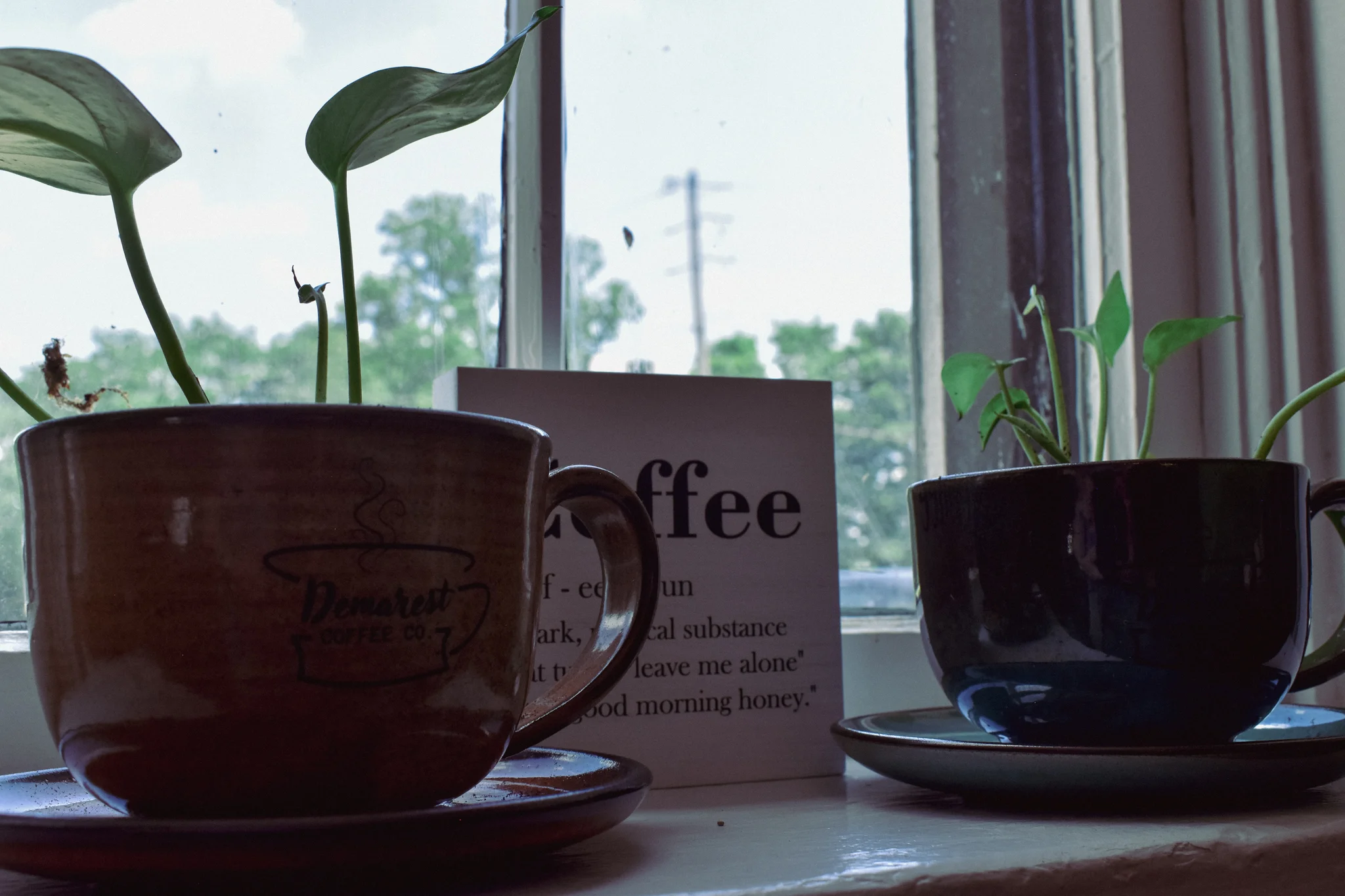Cozy café scene with coffee cups and plants by the window