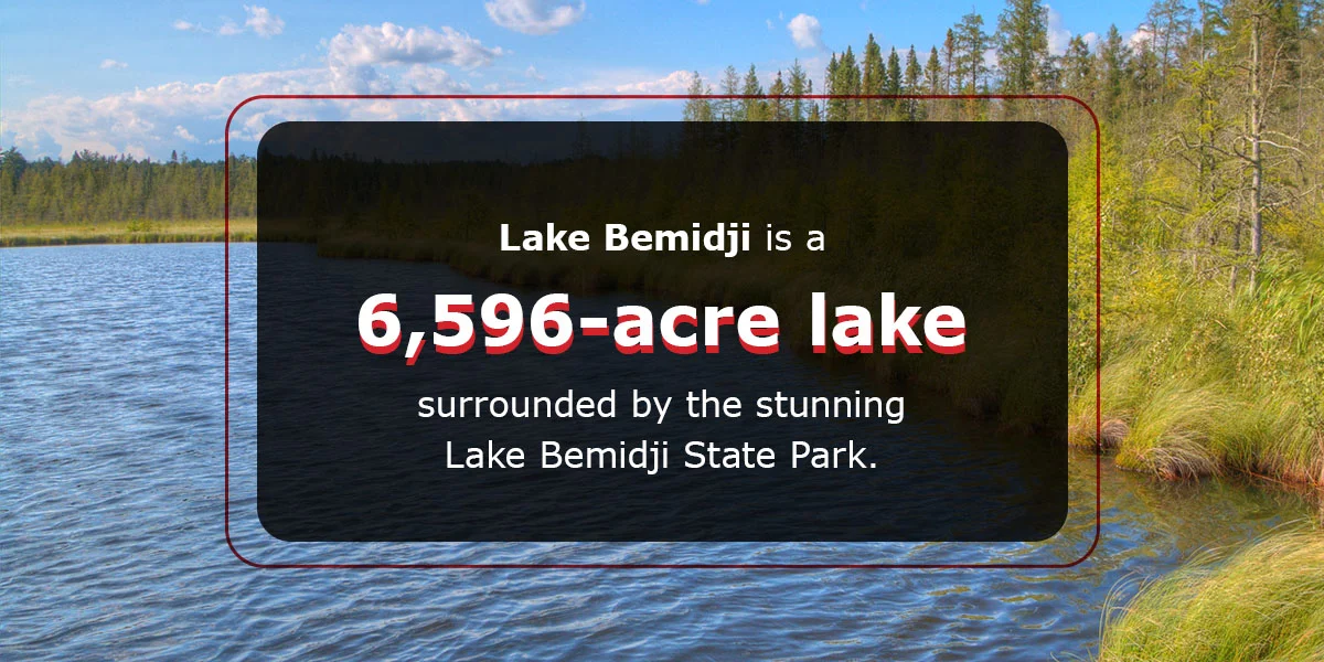 Scenic view of Lake Bemidji surrounded by lush greenery