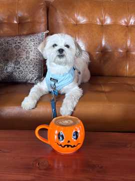 Photo from Elizabeth D.'s review