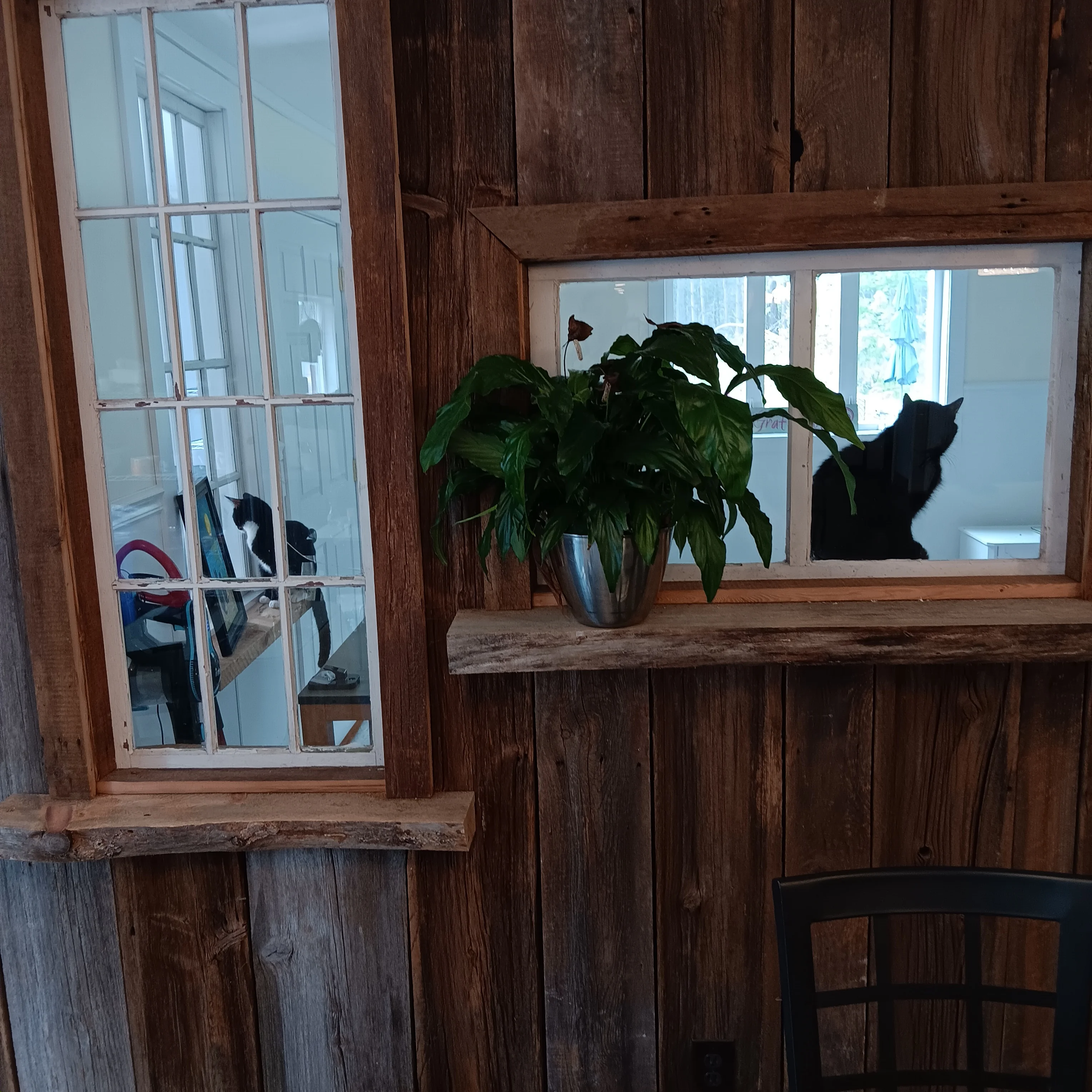 Cozy restaurant interior with rustic wooden walls and a plant