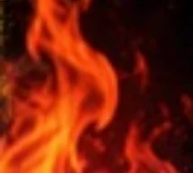 Flames dancing in a fireplace, creating a warm and inviting atmosphere