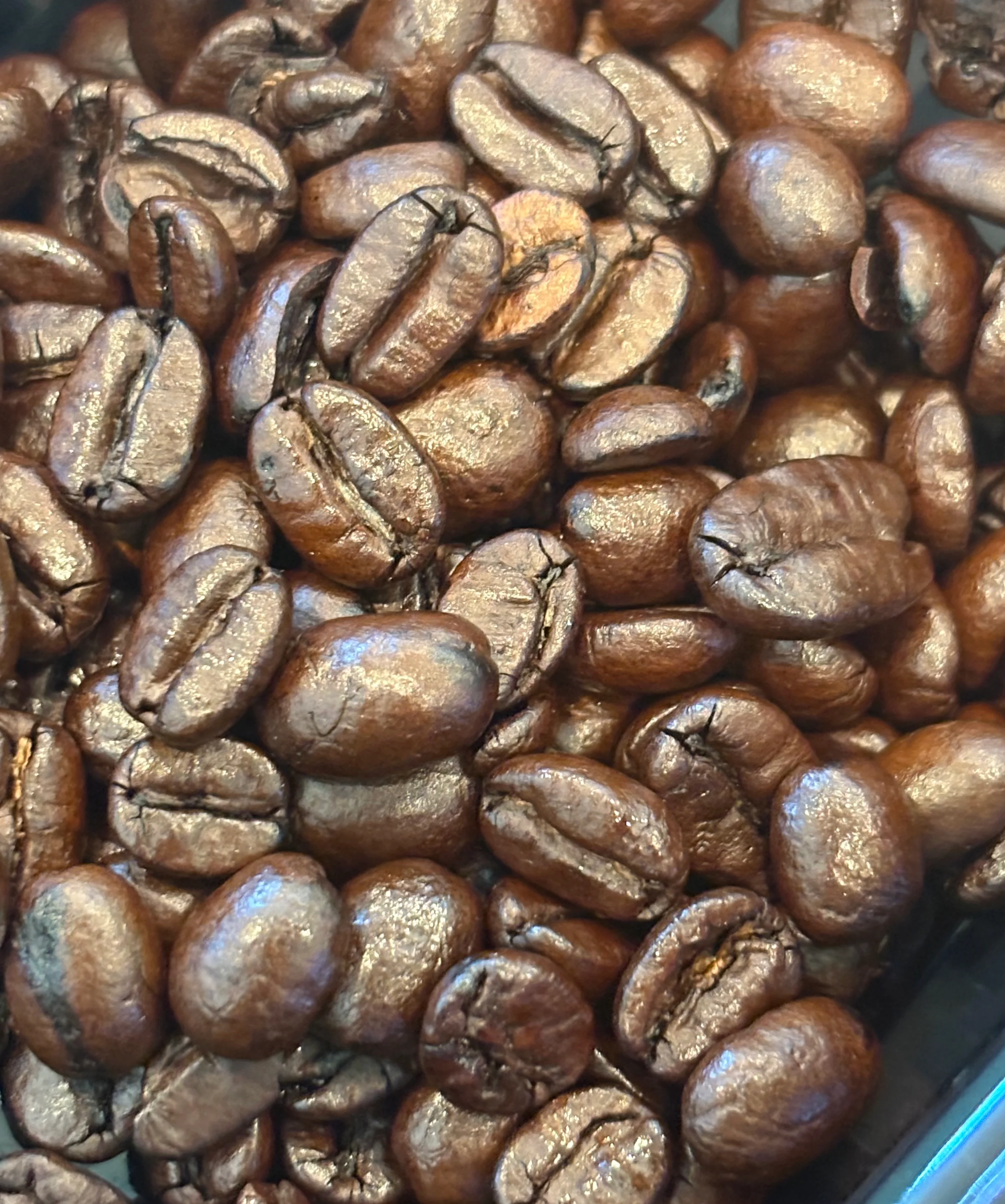 Freshly roasted coffee beans in a dark roast blend