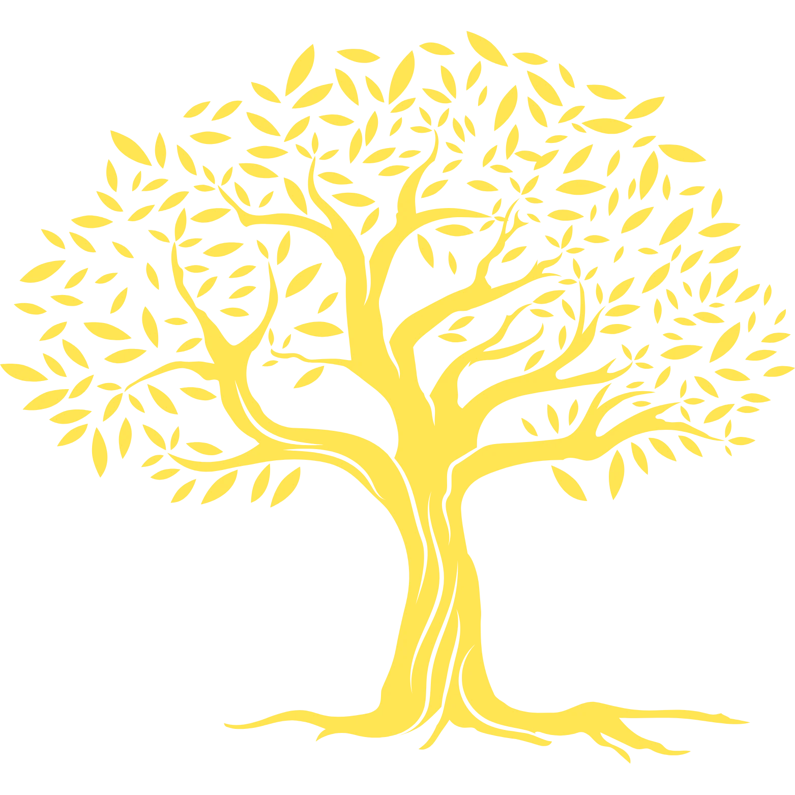 Olive tree logo for PITA in Frisco, Texas