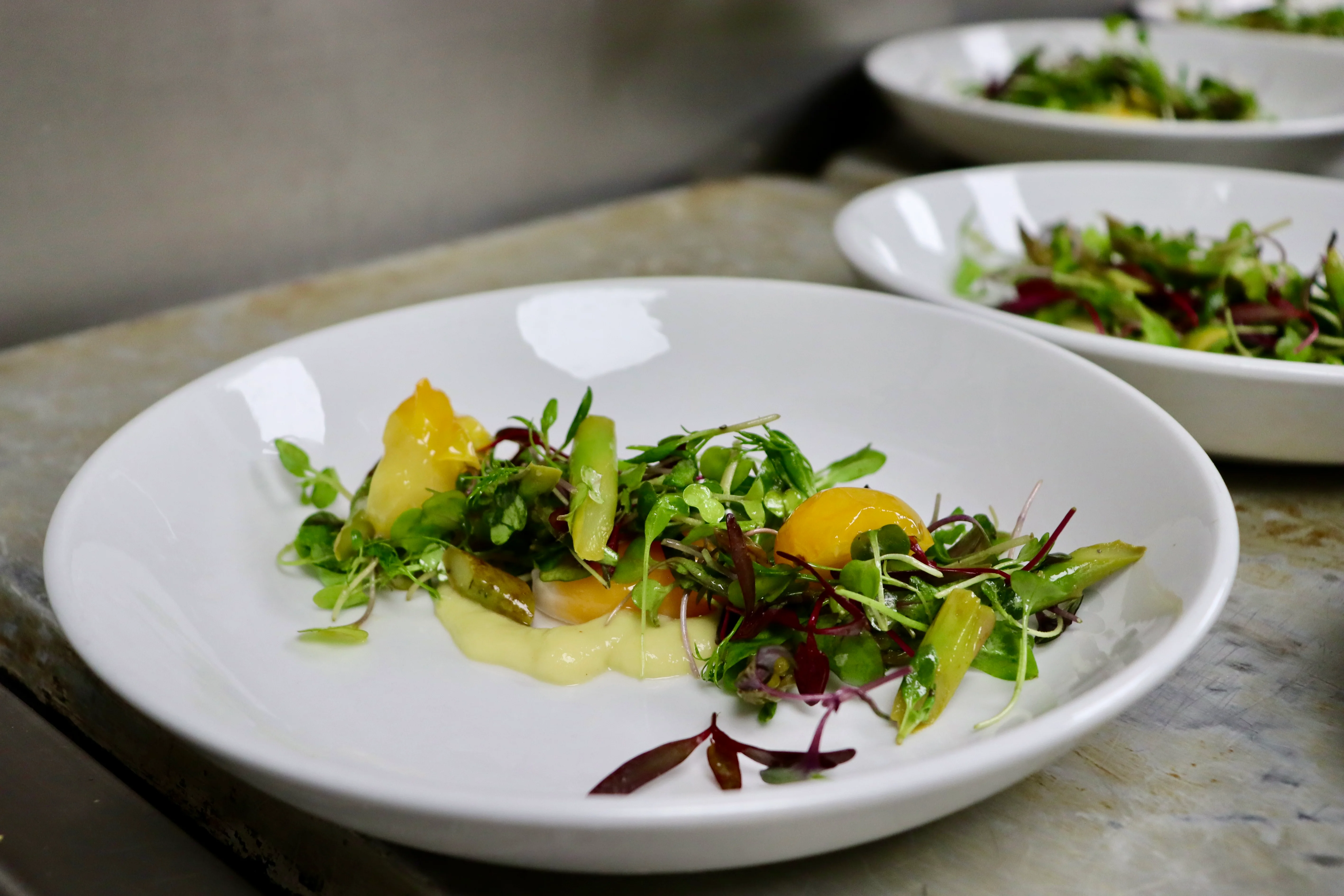 Fresh garden salad with vibrant greens and citrus dressing